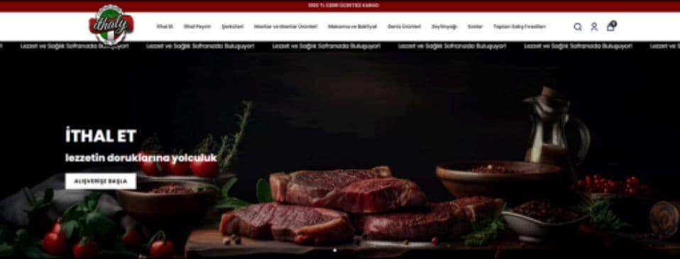 Fizyohol Website Designs