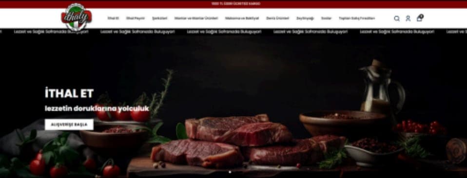 Fizyohol Web Sitesi Tasarımları